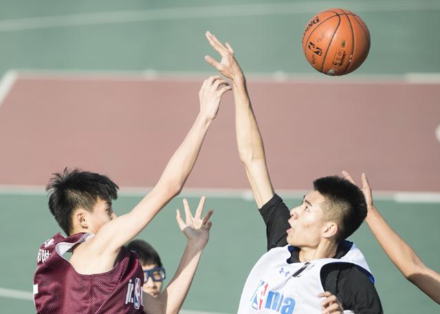 蓝光完整版在线看