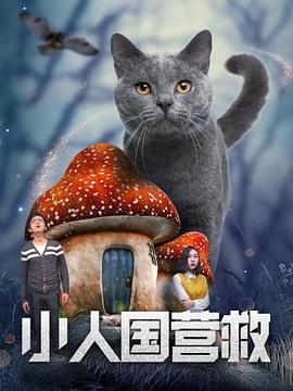 蓝光原盘