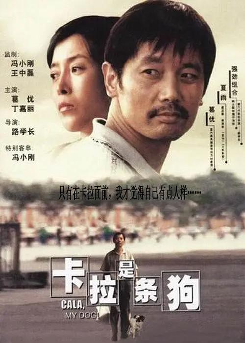 BD国语电影免费在线