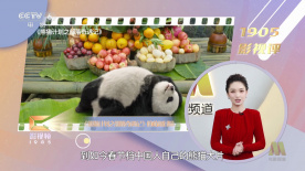 DVD无删减90分钟观看